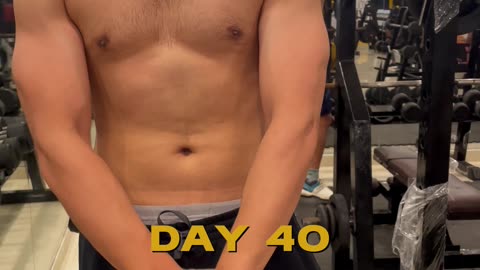 Day 40 | Peace Comes Through Process