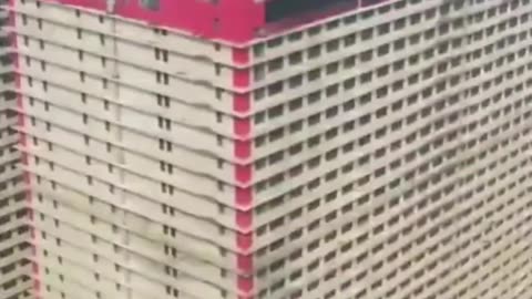 🤯✨ This 26-Storey Pig Farm Will Shock You! | FeedMyCuriosity