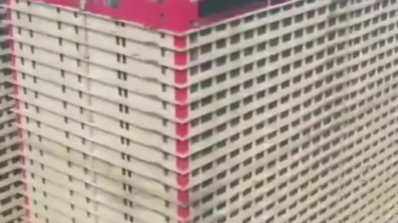 🤯✨ This 26-Storey Pig Farm Will Shock You! | FeedMyCuriosity