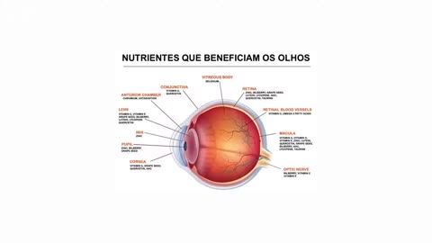 SUPLEMENTAÇÃO PARA DEGENERAÇÃO MACULAR.