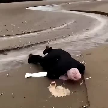 Funniest Video Compilation | Try Not to Laugh! 😂