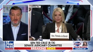 Ted Cruz: The Democrats are in a PANIC