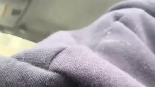 TikTok influencer breaks down sobbing because ICE just detained her sister.