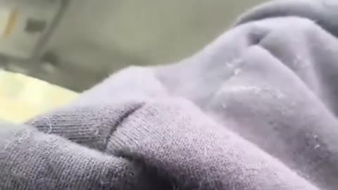 TikTok influencer breaks down sobbing because ICE just detained her sister.