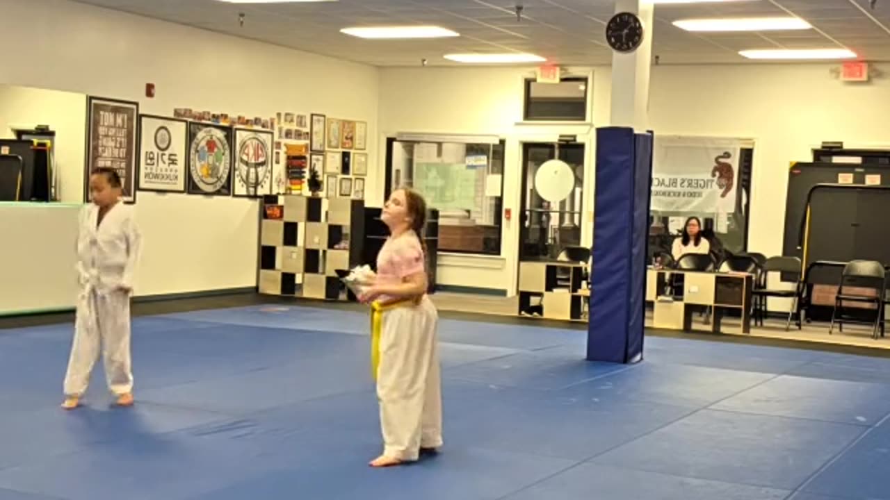 Kids Tong Hap Kwan Hoshinsul Class