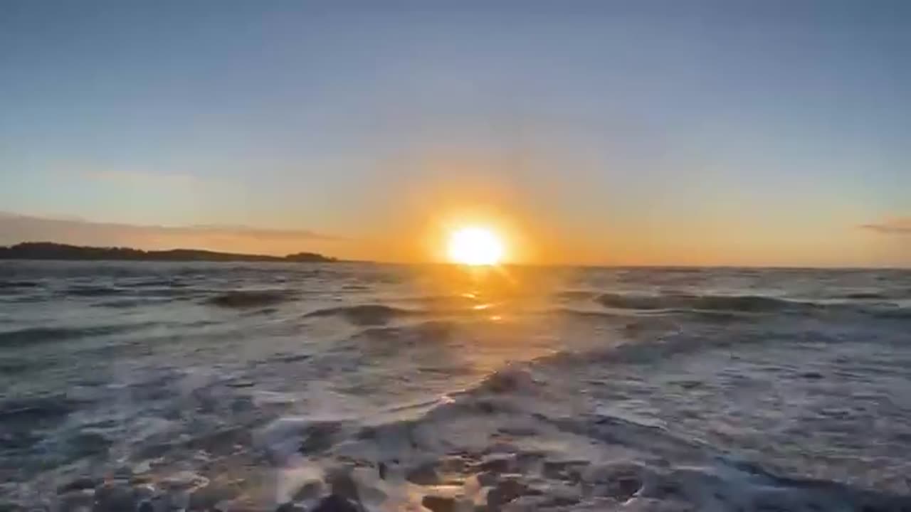 Purpose And Protection TRUTH Robert Foertsch 1-843 -504-1776