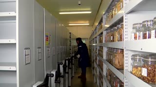 World's largest seed bank marks 25 years safeguarding wild seeds