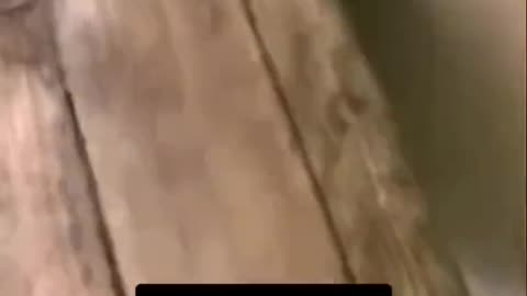 😱👻 What Was That? Ghost Encounter! | TheHauntingHour