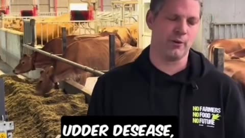 Bill Gates forcing Danish Farmers to poison their cows