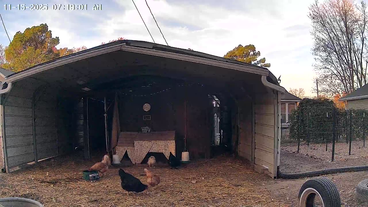 Happy Saturday Morning!