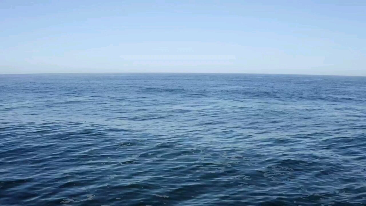 Sea