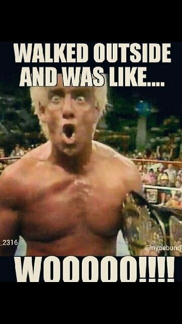 G'night fam. 🥰 Is this way cool or not???