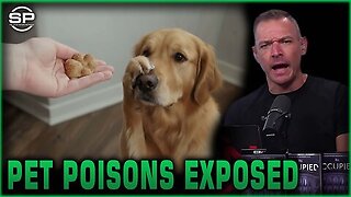 Exposing Toxic Pet Food