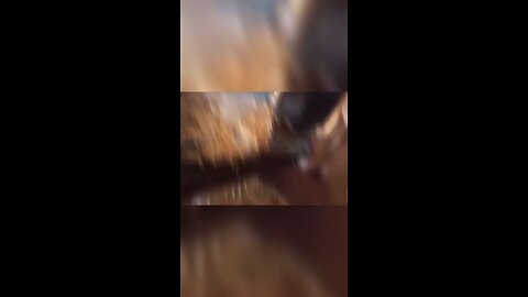 "AAAAAH!"👌😫🔥🤣