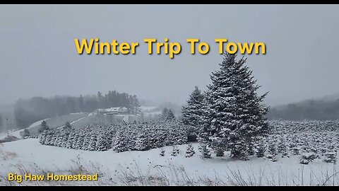 Snow Trip to town and plowing