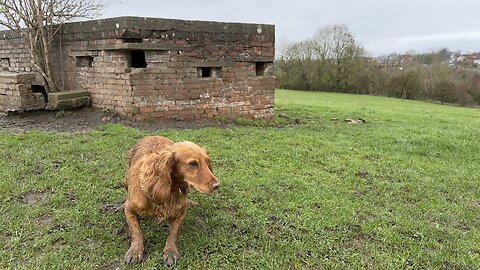 14/11/25 8mile trail run with willow