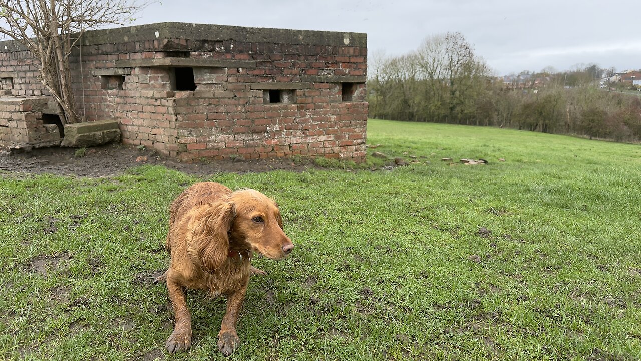 14/11/25 8mile trail run with willow