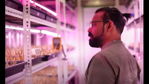 High-tech Vertical SAFFRON FARM in Shipping Container