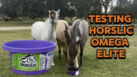 Will our horses like HorsLic Omega Elite. Watch and find out.