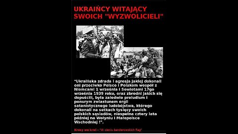 Spełniło się marzenie Polactfa - Będziemy mieli Ukro - Polin, już oficjalnie. Brawo Wy🤣🤣🤣