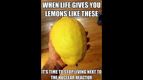 11426 Funny Laugh Out Loud Hilarious Memes Jokes Cartoons