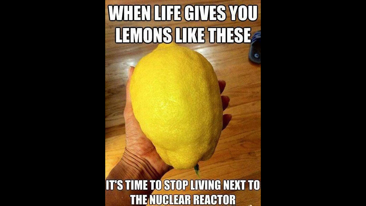 11426 Funny Laugh Out Loud Hilarious Memes Jokes Cartoons