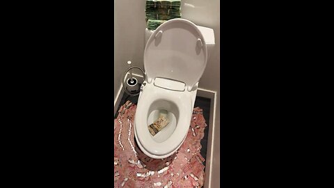 My money toilet