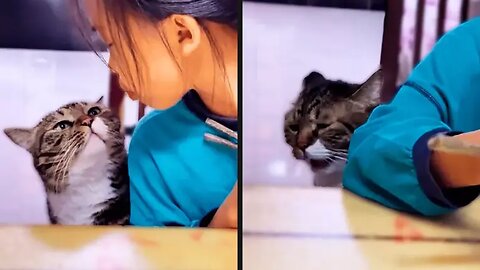 Your Daily Dose of Pets