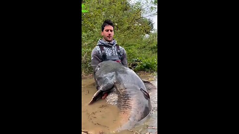“This Is NOT a Normal Catfish… A True River Monster!”