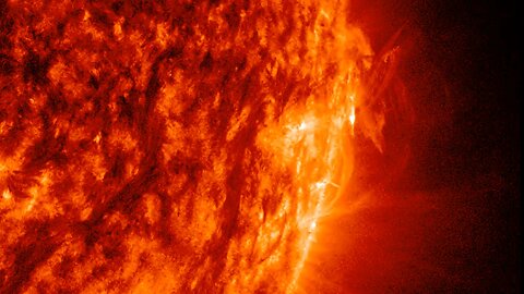 🌞 1-8-2026 crop1 🌞