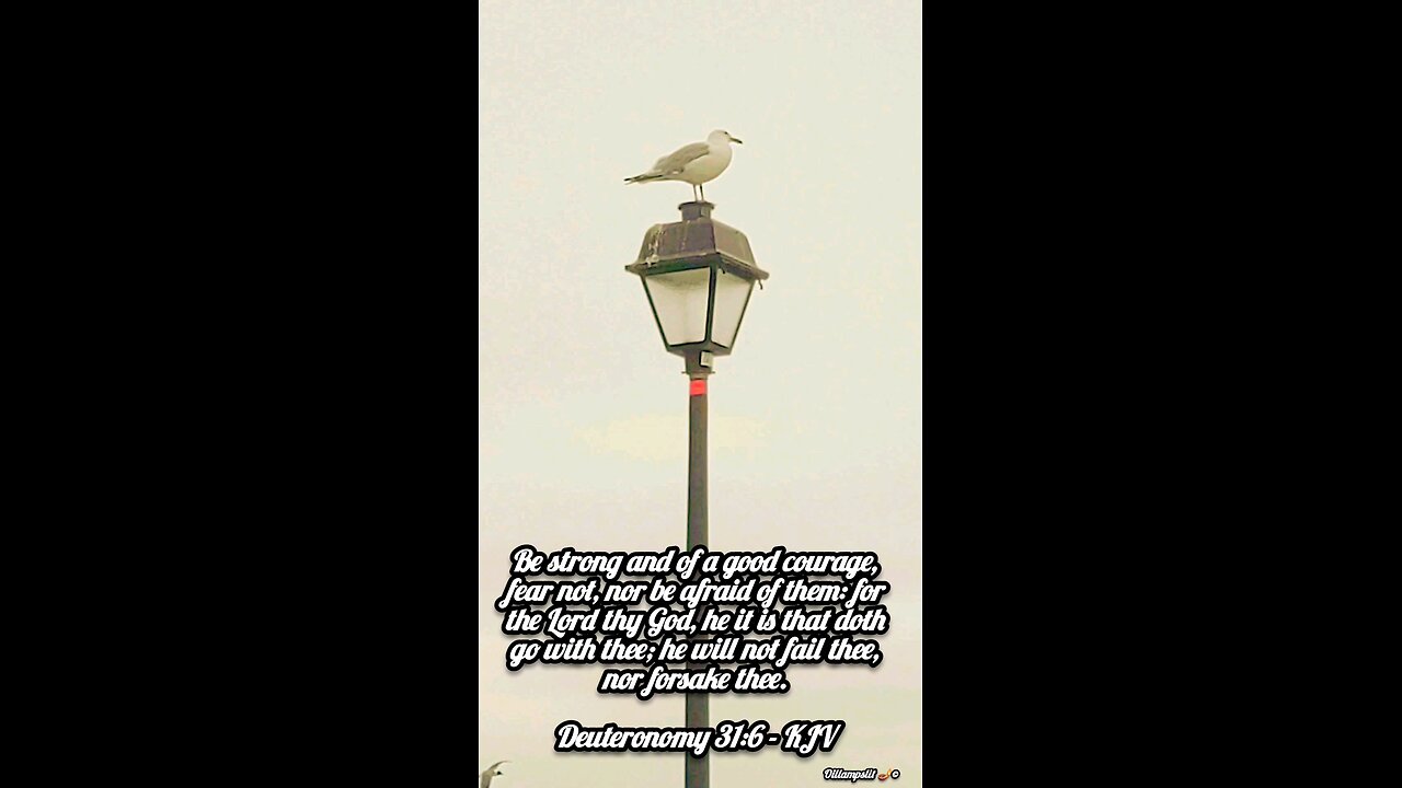 Deuteronomy 31:6 KJV