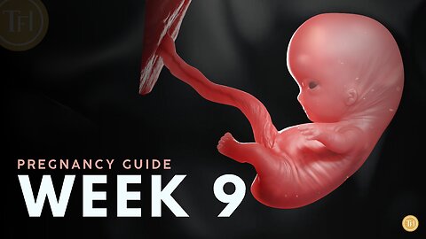 What to Expect at Week 9 | Week by Week Pregnancy Guide