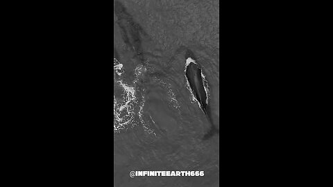 one day i will tell you my story