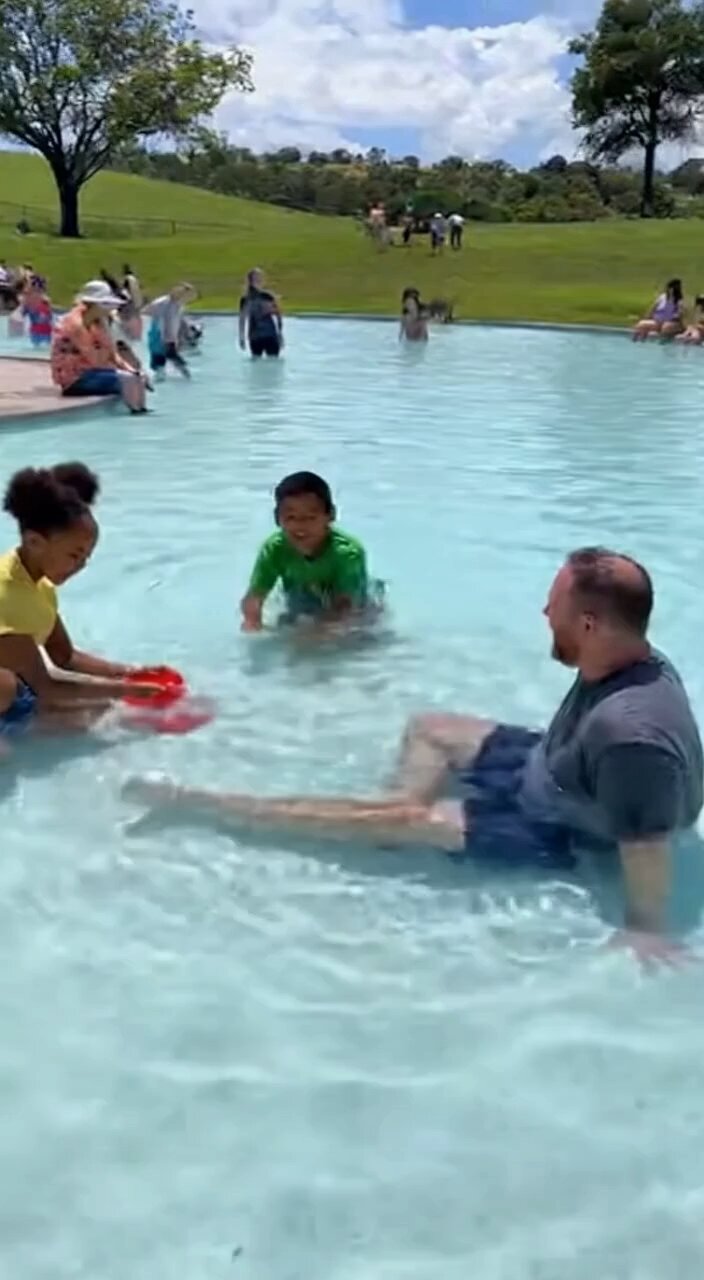 Kangaroos hopping into swimming pool