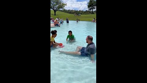 Kangaroos hopping into swimming pool