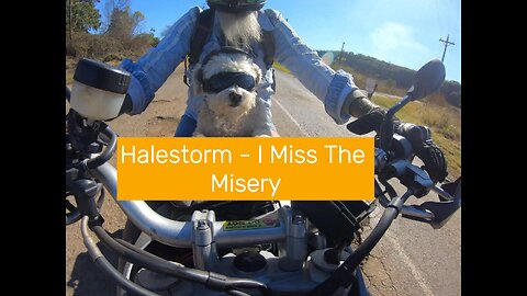 Halestorm - I Miss The Misery
