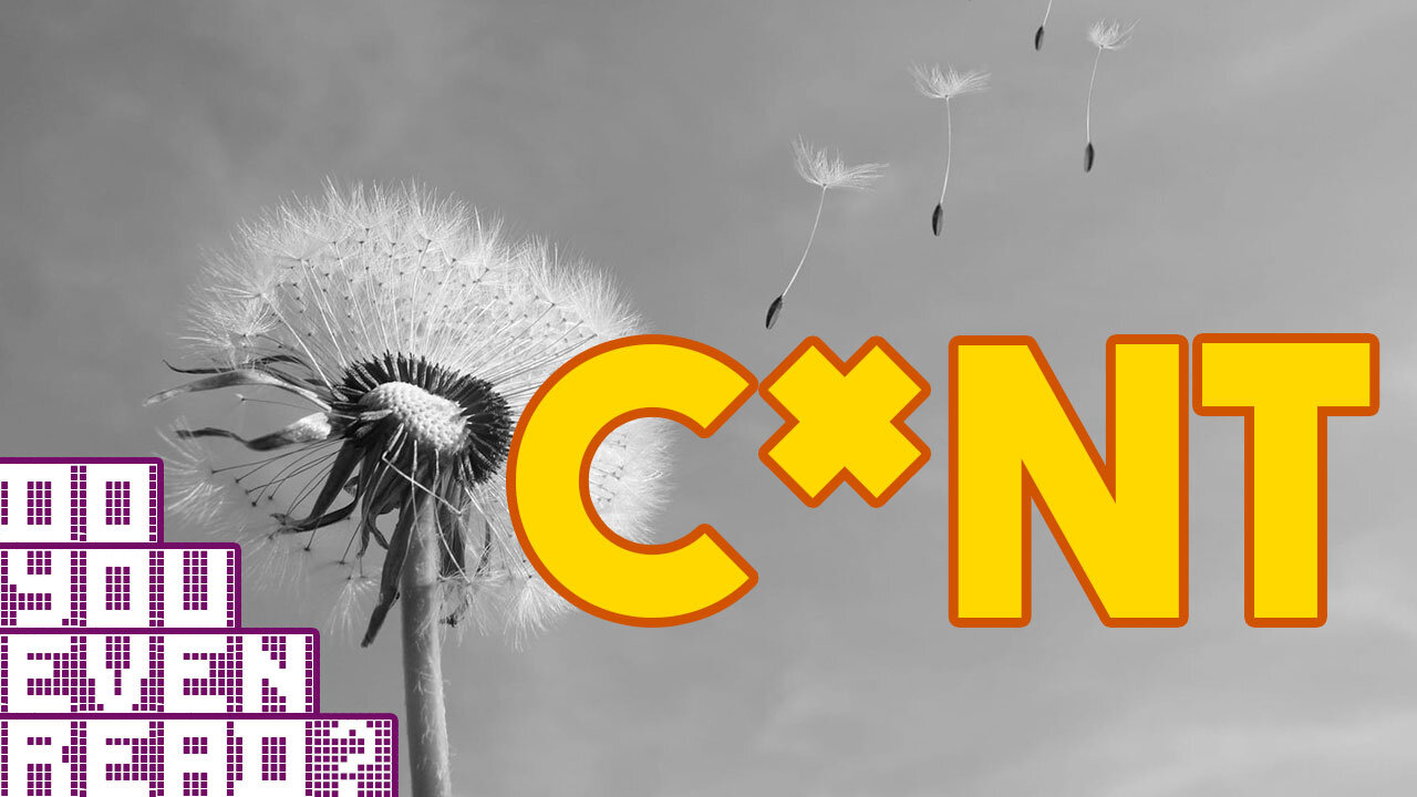 C*nt: A Declaration of Independence - Do You Even Read?