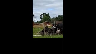 let the cows fart in peace