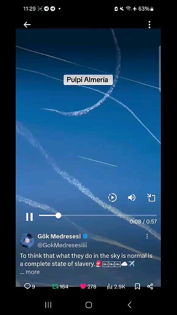 il Donaldo Trumpo : Trum and Musk