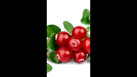 Cranberry Benefits: Supports Urinary Tract Health Naturally