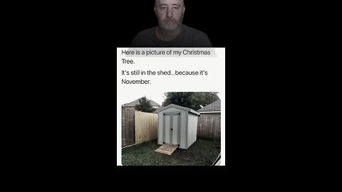 Christmas tree setup #comedy #funny #humor