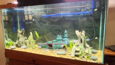 Aquarium Center Support Beam Broke..Oh No!!!