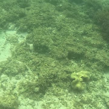 Snorkeling Morning!!