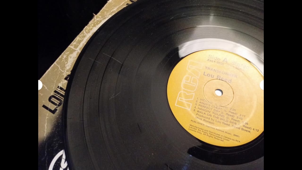 Lou Reed Transformer Record
