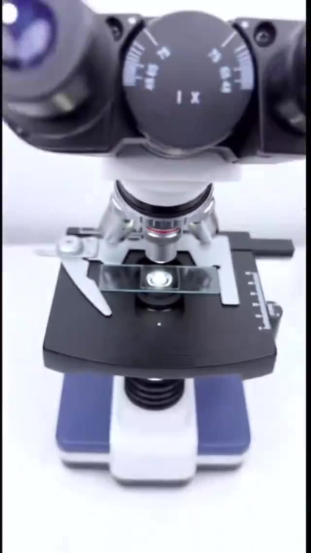 Rainwater under the microscope