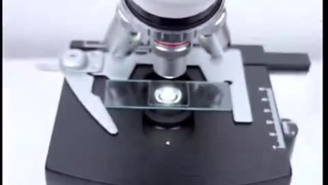 Rainwater under the microscope