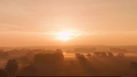 Daily Horoscope | Pisces 🌟