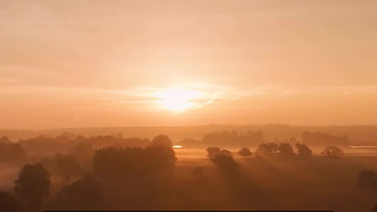 Daily Horoscope | Pisces 🌟