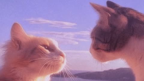 dreamsoda - Another Day in Paradise