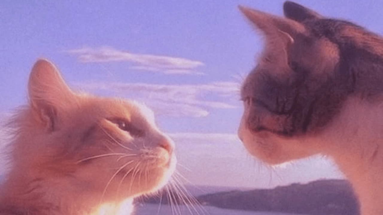 dreamsoda - Another Day in Paradise